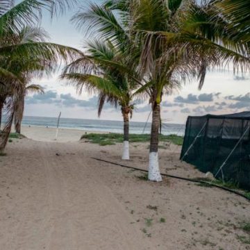 Un séisme de magnitude 7,3 frappe le sud du Mexique, alerte tsunami déclenchée