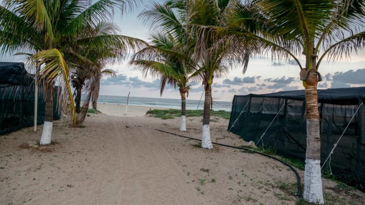 6ef34e61-6303-47a4-ba52-ea39ca11f1ce Un séisme de magnitude 7,3 frappe le sud du Mexique, alerte tsunami déclenchée