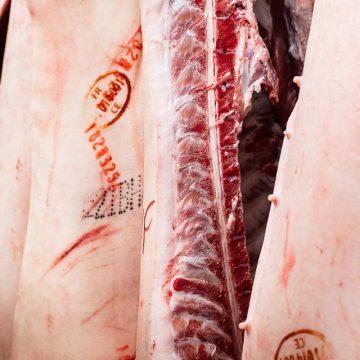 La survie de l’abattoir du Grand Autunois Morvan