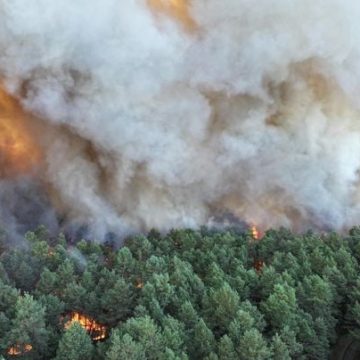 72578096-cdca-48c0-b105-3e8edd873974 Incendie en forêt de Fontainebleau : situation critique