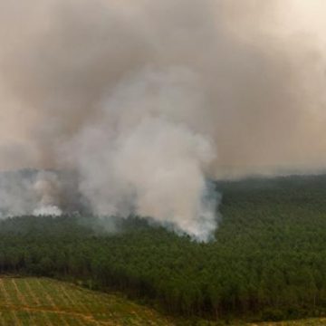 Trois nouvelles arrestations en Gironde pour incendies