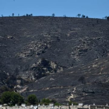 7e8a0caa-4550-4f08-9b97-3d8c77533987 Un an après l’incendie de Marseille, les stigmates persistent