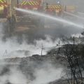 Les risques des feux de forêt pour les entreprises industrielles