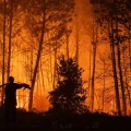 Incendie en Gironde : Des habitants face à la destruction