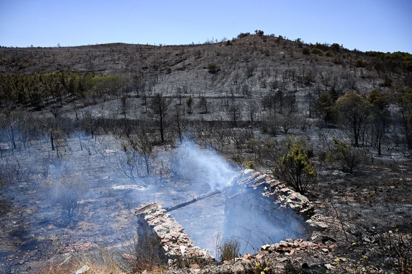 8701a71c-0afe-4874-ae6b-7d072dfd68b8 Intense lutte contre l’incendie dévastateur dans les Pyrénées-Orientales