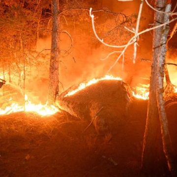 Incendie de Fontainebleau : avancées et enquête