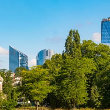 Un Homme Arrêté pour Incendie au Bois de Boulogne