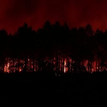 8944be09-5233-4df3-b74d-a34fa7232bf9 Incendies en Gironde: Une Crise Alarmante