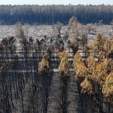 Actualités des incendies en Gironde et au-delà