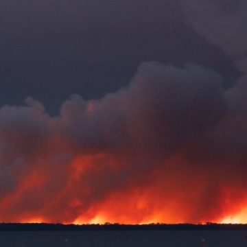 8dbcdf8b-b6a9-4ab6-9531-b23ab78e7021 Incendie dévastateur à Biscarrosse: évacuation massive et fuite des chevaux