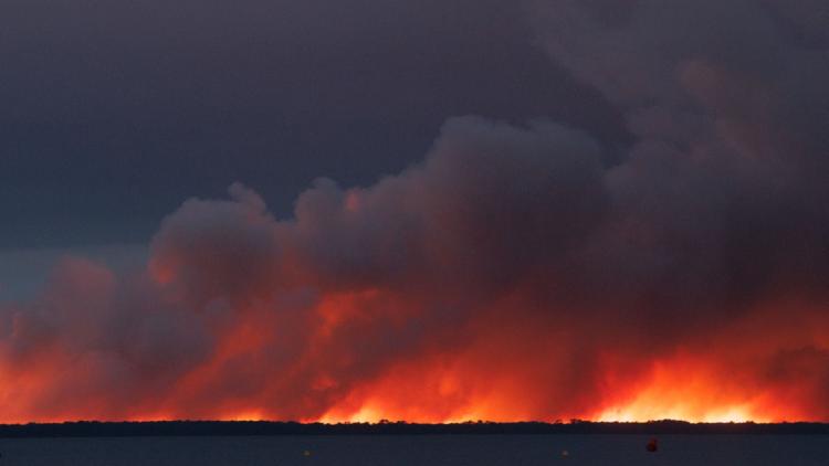 8dbcdf8b-b6a9-4ab6-9531-b23ab78e7021 Incendie dévastateur à Biscarrosse: évacuation massive et fuite des chevaux