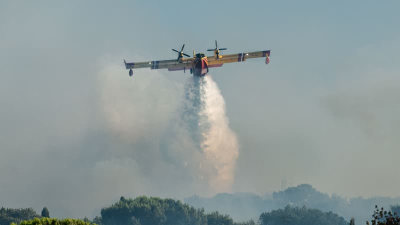 8e358a38-195a-4ac8-b6c9-154c44faecab Incendies en France : Situation critique dans plusieurs départements du Sud
