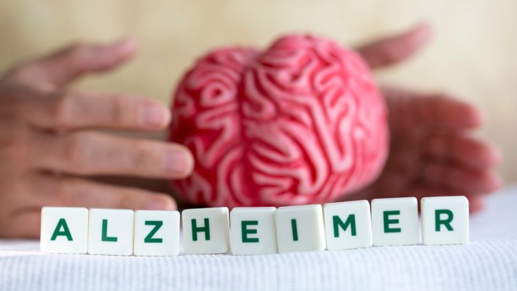8ff9d7d4-558e-4c88-9cc2-befee190c515 Pourquoi certains cerveaux résistent mieux à la maladie d’Alzheimer