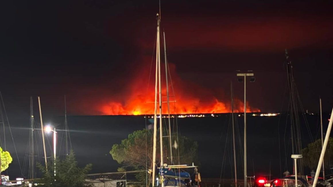 90fe7fbd-a3af-4d09-89d4-35d3360f9e9c Incendies Ravageurs en France