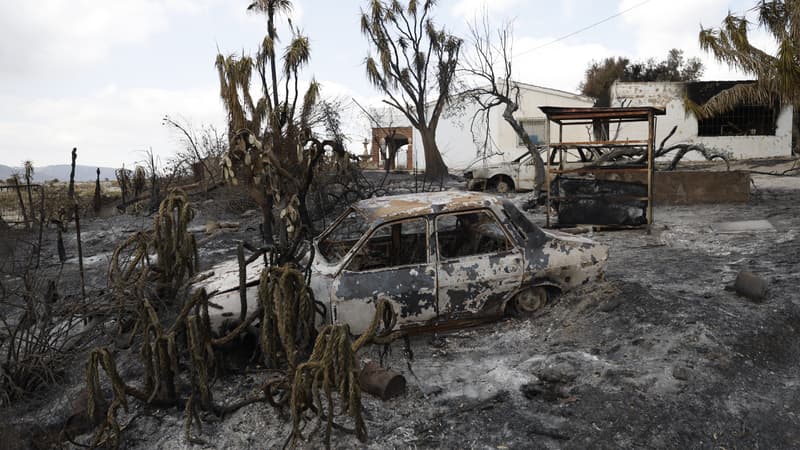 9200d57c-a191-4369-a21a-44d1a46bfd25 Incendie meurtrier en Andalousie : Bilan et contexte