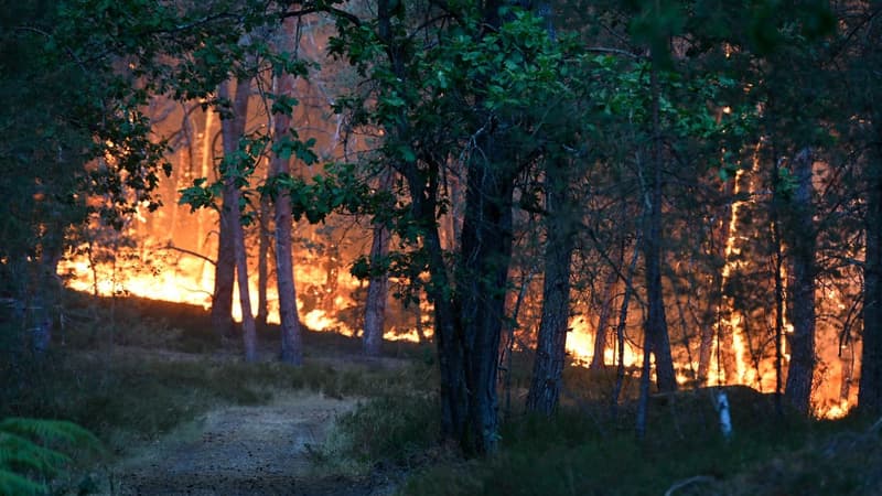 92a244b4-178b-4844-bfab-7f0865cf75e3 Mise en Examen des Ouvriers et Enquête sur Incendies en Forêt de Fontainebleau