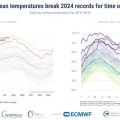 Réchauffement record des océans : impact global et perspectives