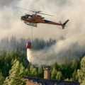 Les défis des pompiers face aux incendies de forêt dans le sud-ouest de la France