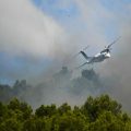 Incendies précoces dans le sud de la France : inquiétude du gouvernement et appel à la vigilance
