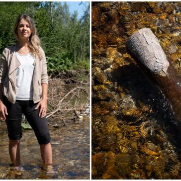 acc45a66-1da9-4f86-976d-49bf1a9dec1d Charlène Descollonges et l’hydrologie régénérative