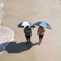 Épisode de Chaleur Intense en France : Prévisions et Détails