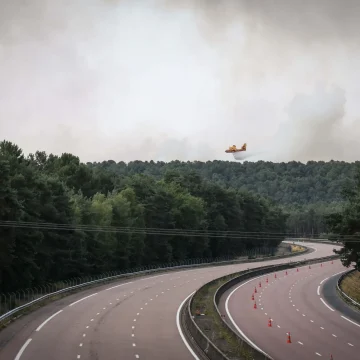 b245461e-b402-4952-8f1b-a30f1cb43157 Les feux dévastateurs de la forêt de Fontainebleau : impact sur la biodiversité
