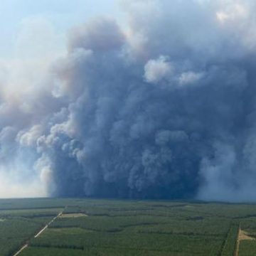 b3fd8cc0-dffe-4872-a31d-66d22d61ab24 Les incendies en Gironde : un phénomène météorologique inédit