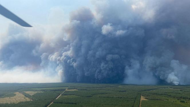b3fd8cc0-dffe-4872-a31d-66d22d61ab24 Les incendies en Gironde : un phénomène météorologique inédit