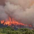 Incendies en Gironde et dans le Var : évolution de la situation