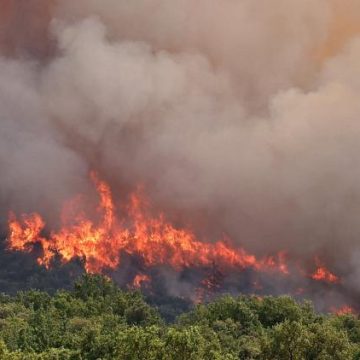 b7fa709b-bf9c-4882-826d-0f5b0495bd01 Incendies en Gironde et dans le Var : évolution de la situation
