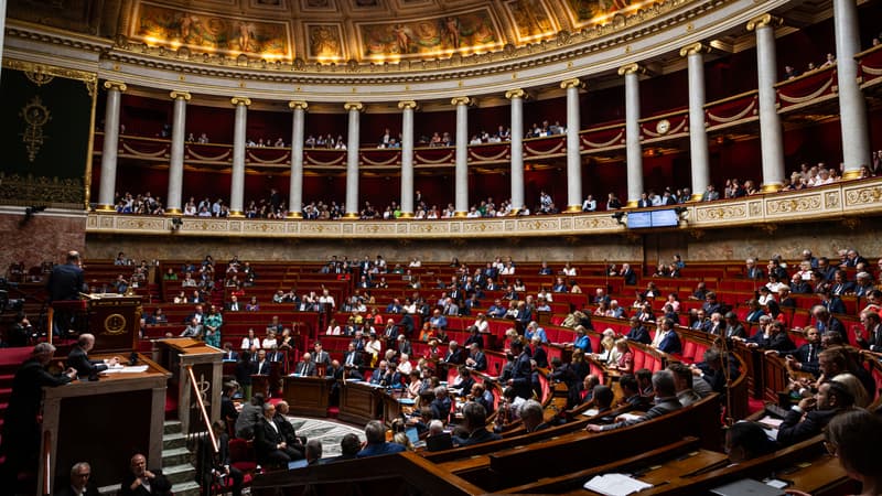 ba9f9806-cc3d-4d84-9c52-c553396e1e8b Le Gouvernement Utilise un Article Constitutionnel pour Avancer une Proposition de Loi sur la Légitimité de l’Usage des Armes
