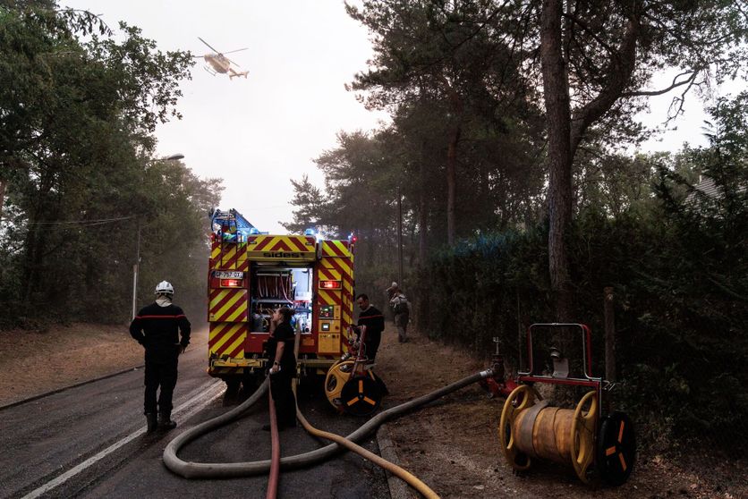 Major wildfire rages in Fontainebleau Forest near Paris Les conséquences de l’incendie de Fontainebleau