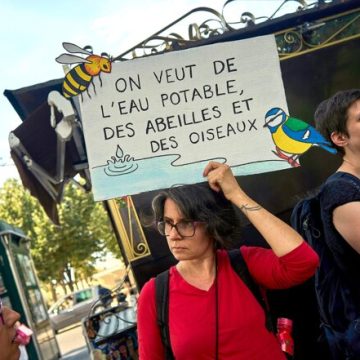 Pesticides : le vote polémique du Parlement