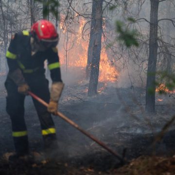 Les incendies en forêt de Fontainebleau maîtrisés malgré les défis persistants