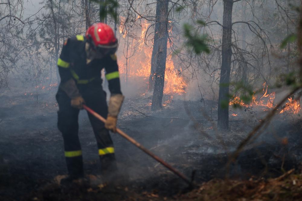 bf4d8ff1-a0d9-41d6-b2fd-fbd897b5b723 Les incendies en forêt de Fontainebleau maîtrisés malgré les défis persistants