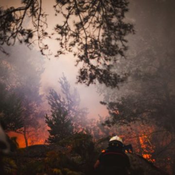 Deux suspects liés aux incendies du 13 juillet à Fontainebleau