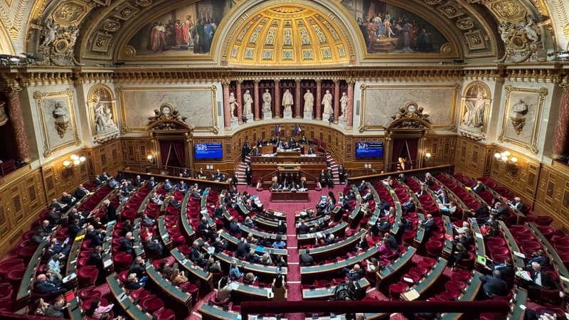 c1bb9a7d-d660-4a83-b485-8e02bea573f3 Sanction inédite au Sénat : La suspension de la sénatrice Christine Herzog