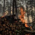 Dévastation par les incendies et évacuations : focus sur l’Espagne et la Gironde