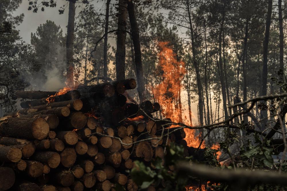 c2928daf-1a22-4b95-8df1-9f67d4e64682 Dévastation par les incendies et évacuations : focus sur l’Espagne et la Gironde