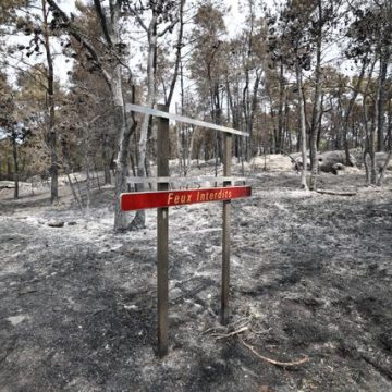 Incendie de la Forêt de Fontainebleau : Enquête sur une Origine Criminelle