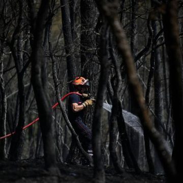 c7be1c1f-37e9-48a6-9ed4-b290dc4489ef Lutte acharnée contre les incendies à Correns