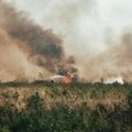 La lutte contre les incendies en France et ses conséquences