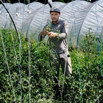 Les défis climatiques des maraîchers en France