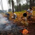 Le combat des habitants de Gironde contre les flammes