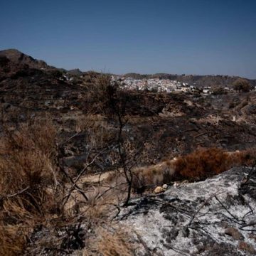 d2e630cb-874a-43b2-bccf-99b065709560 Incendie en Andalousie : bilan et réaction des autorités espagnoles