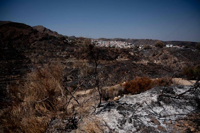 d2e630cb-874a-43b2-bccf-99b065709560 Incendie en Andalousie : bilan et réaction des autorités espagnoles