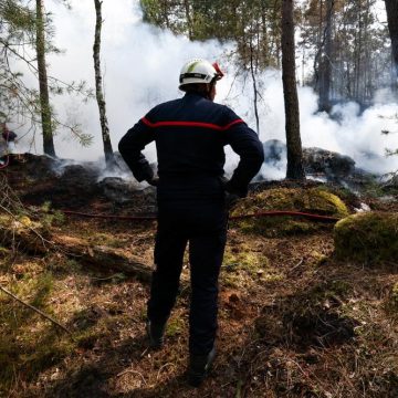 Incendies en Seine-et-Marne : bilan et conséquence de la chaleur