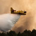 Incendies et Vague de Chaleur en France
