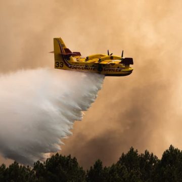 Incendies et Vague de Chaleur en France
