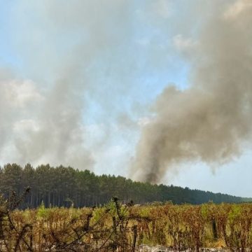 dbef10b7-e83a-40b8-9e3d-0c077f118d03 Situation des incendies à Saint-Jean-d’Illac